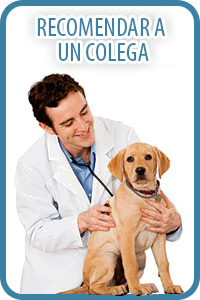 recomedar a un colega