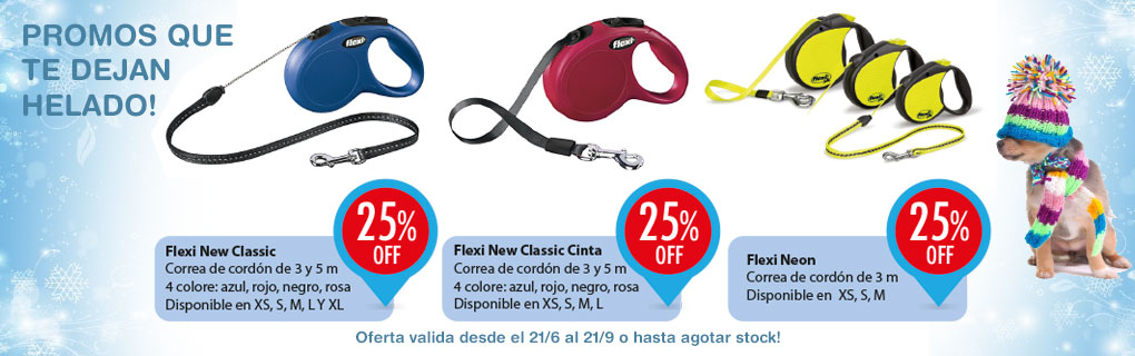 banners invierno01